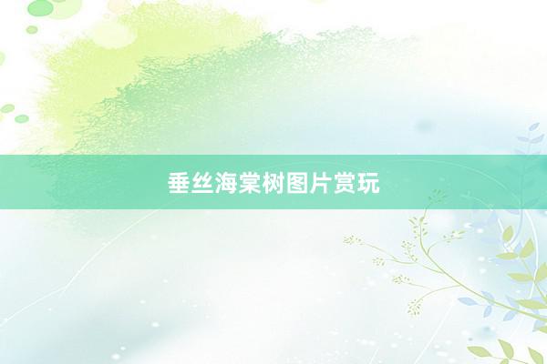 垂丝海棠树图片赏玩