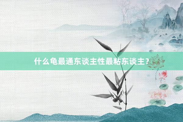什么龟最通东谈主性最粘东谈主?